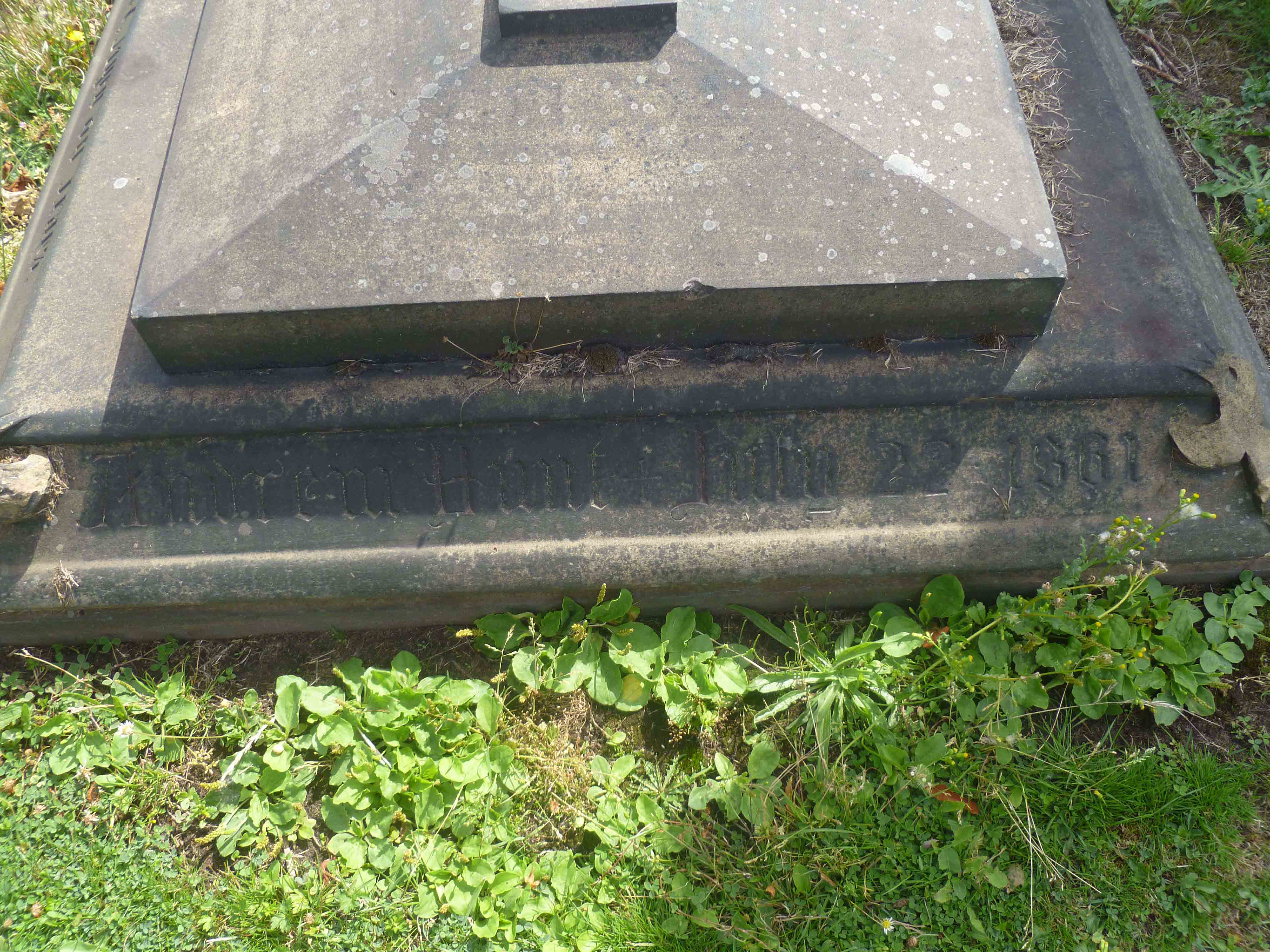 Hunt (C Left 403) (2)